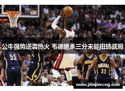 公牛强势逆袭热火 韦德绝杀三分未能扭转战局