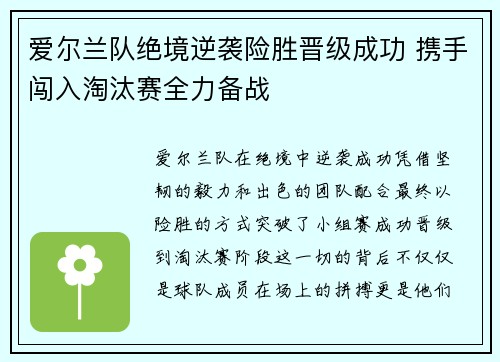 爱尔兰队绝境逆袭险胜晋级成功 携手闯入淘汰赛全力备战