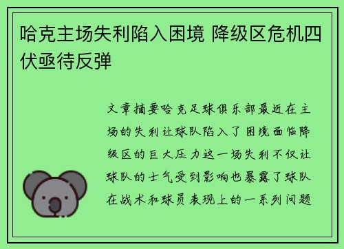 哈克主场失利陷入困境 降级区危机四伏亟待反弹