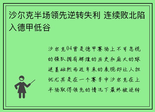 沙尔克半场领先逆转失利 连续败北陷入德甲低谷